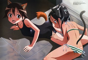(y) Strike Witches