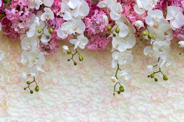 white phalaenopsis and pink hydrangeas hanging from the top