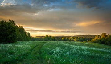 Enchanting Panoramic Grass; countryside at sunset
