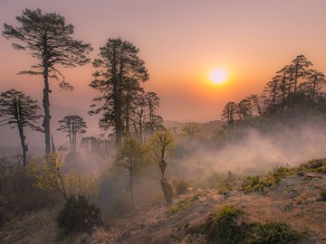 Through the mist, Dochula Pass, Bhutan by Sergey Shandin
