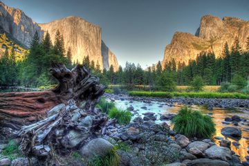 driftwood by the Merced River, afternoon sun on El Capitan & Gunsight, Yosemite NP