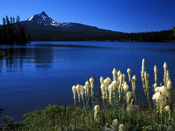 Mount Washington from Big Lake, Oregon, USA