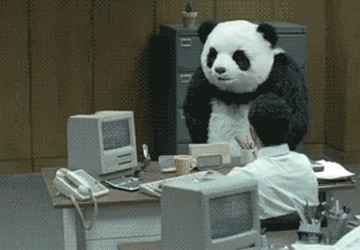 Panda ruins Macintosh office