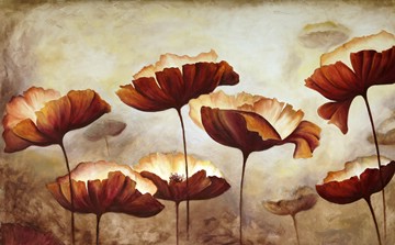 poppies from the side, brown tones