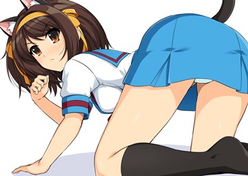 (e) Haruhi as a catgirl on all fours, panchira by haruhisky