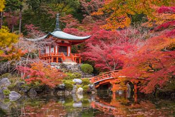 Daigo-ji temple in autumn, Kyoto
