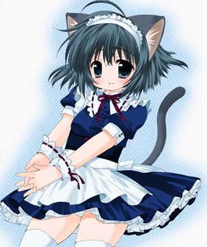 (e) akibakko-118306056455679 catgirl