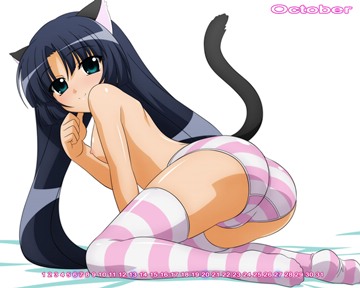 (b) calendar catgirl nude sugimura tomokazu tail thighhighs
