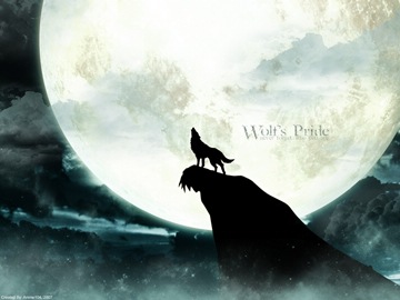 [AnimePaper]Wolfs Pride by anime104 1600x1200