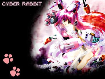 (e) Cyber Rabbit