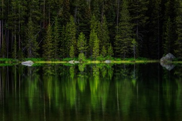 Reflections of Jenny Lake, Wyoming, USA