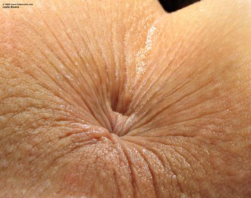 (s) anus, extreme detail, side view