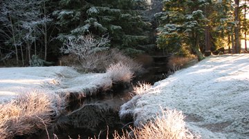 Winter brook in Prince Rupert, BC, Canada