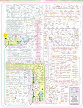 metabolism chart