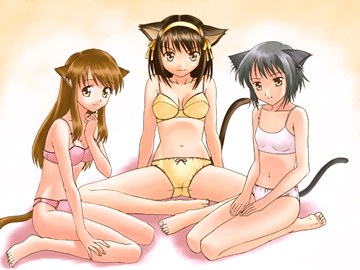(e) 1172290854617 all are catgirls now