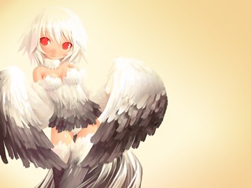 (e) Birdy Angel