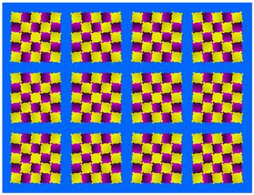 illusion; squares appear tilted