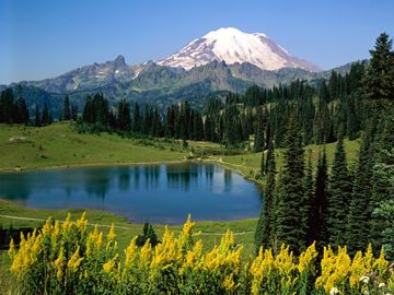 Alpine Scenic, Washington, USA