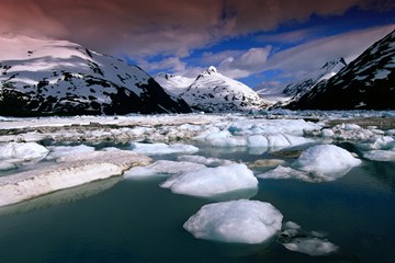 Portage Glacier Area, Alaska, USA