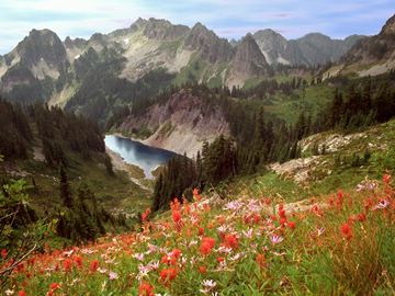 Cliff Lake and the Tatoosh Range, Mount Rainier National Park, Washington, USA