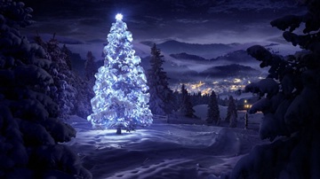 christmas tree in the snow at night