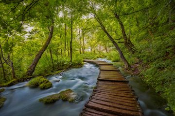 ! footbridge in Plitvice Lakes NP, Croatia