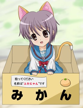 1253415088250 Yuki-nyan in a box