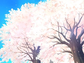 special2200222 sakura trees