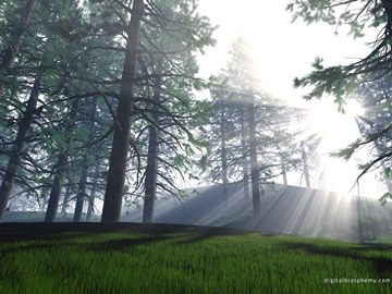morninglight 3D forest