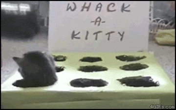 whack-a-kitty