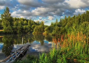 forest lake with jetty near Basova, Nekrasovsky District, Yaroslavl Oblast, Russia, darker sky