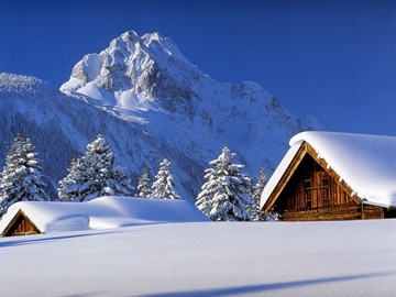 11 cabins deep in snow