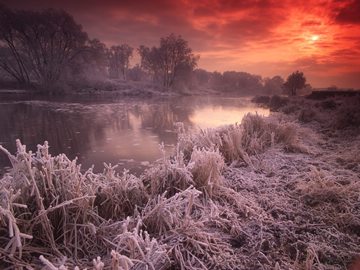 28 river with frosty reed