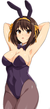 (e) (z) Haruhi in a violet bunnysuit, arms behind her head by haruhisky (extracted)