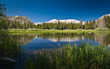 peaceful mountain lake, Sierra Nevada, California, USA