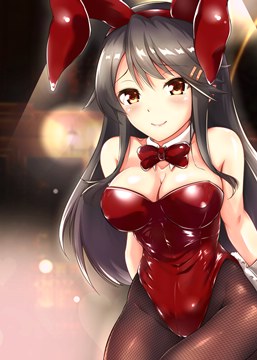(e) bunnygirl Haruna by kumichou