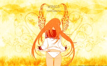 (e) [AnimePaper]Wings of Tomorrow by ed9e 1920x1200