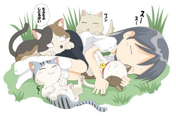 1347607422495 girl sleeps with cats