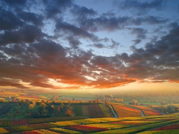 31 colorful fields