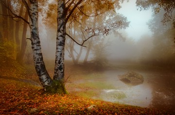 That late autumn morning, Vitosha, Bulgaria