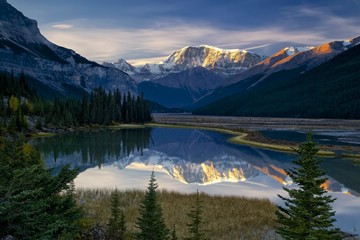 Mount Kitchener at Sunrise from Beauty Creek, Sunwapta River, Icefields Parkway, Alberta, Canada