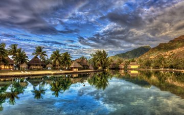 10 tropical village with palms (HDR)