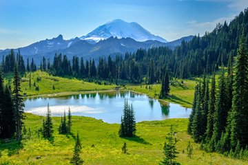 bright summer day at the lower Tipsoo Lake, Mt. Rainier in the back