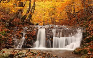 waterfall in a yellow autumn forest