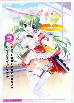 (e) Mazikikyo 02 (Bunny Waitress)
