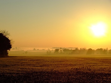 sunset above a field