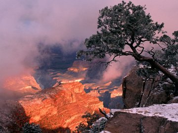 ! Clearing Winter Storm, Grand Canyon National Park, Arizona, USA