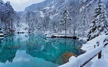 winter Lake Blausee surrounded by spruce trees, Switzerland