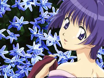 ! Aoi - Blue Flowers