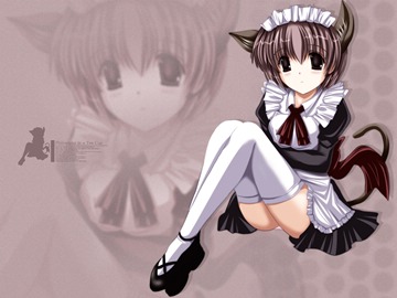 (e) catgirl maid tail thighhighs